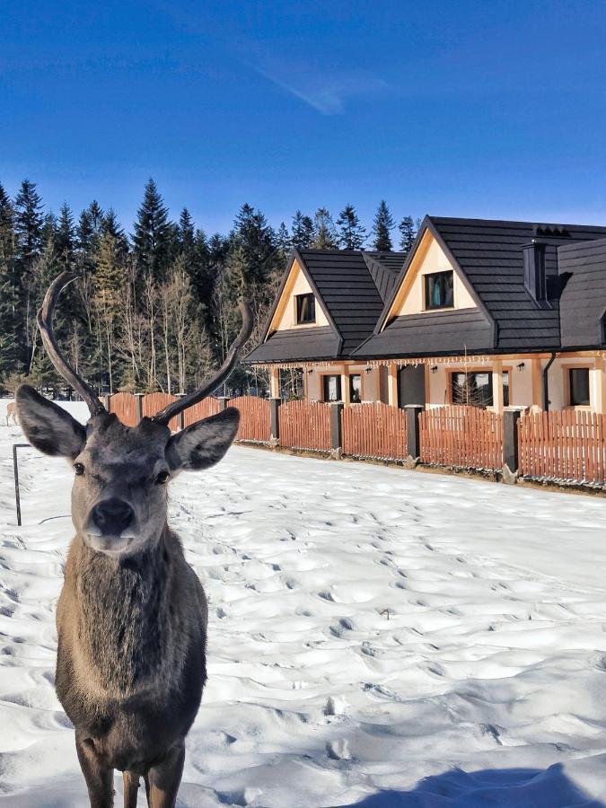 M Domki Zakopane Bagian luar foto
